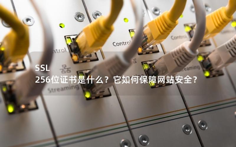 SSL 256位证书是什么？它如何保障网站安全？