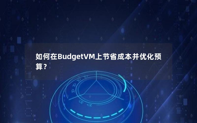 如何在BudgetVM上节省成本并优化预算？