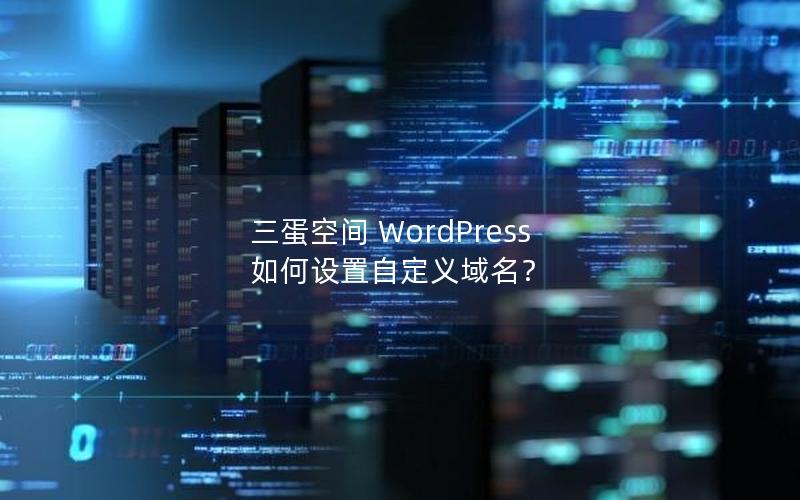 三蛋空间 WordPress 如何设置自定义域名？