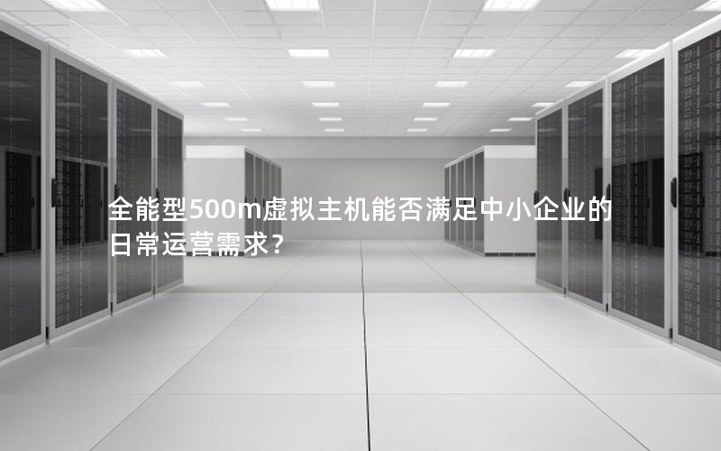 全能型500m虚拟主机能否满足中小企业的日常运营需求？