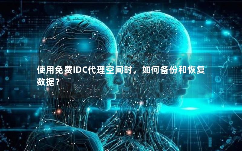 使用免费IDC代理空间时，如何备份和恢复数据？