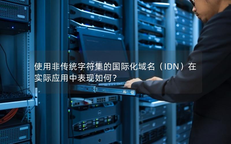 使用非传统字符集的国际化域名（IDN）在实际应用中表现如何？