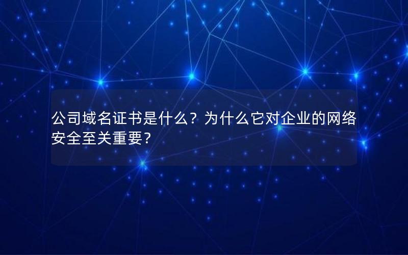 公司域名证书是什么？为什么它对企业的网络安全至关重要？