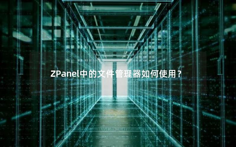 ZPanel中的文件管理器如何使用？