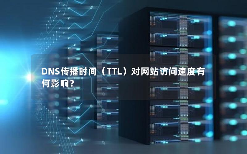 DNS传播时间（TTL）对网站访问速度有何影响？