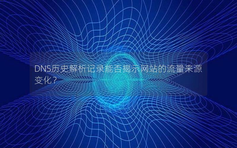 DNS历史解析记录能否揭示网站的流量来源变化？