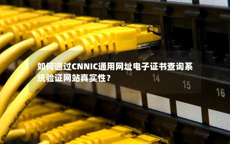 如何通过CNNIC通用网址电子证书查询系统验证网站真实性？