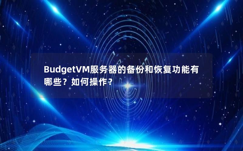 BudgetVM服务器的备份和恢复功能有哪些？如何操作？