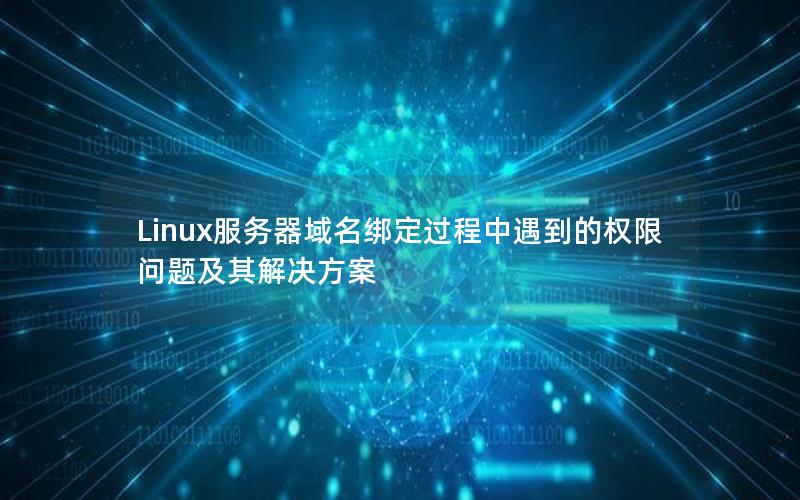 Linux服务器域名绑定过程中遇到的权限问题及其解决方案