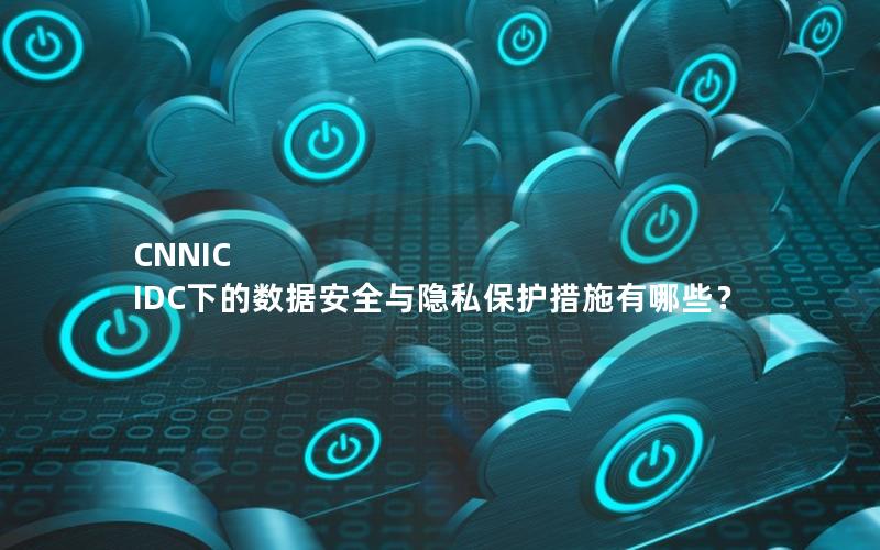 CNNIC IDC下的数据安全与隐私保护措施有哪些？