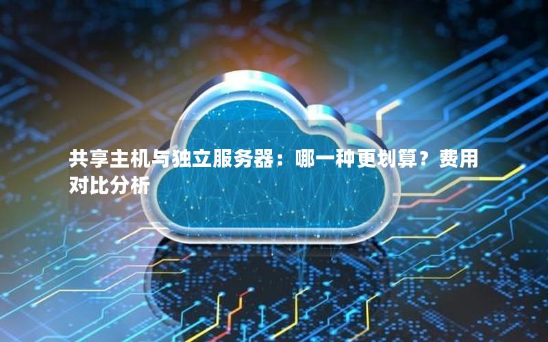 共享主机与独立服务器：哪一种更划算？费用对比分析