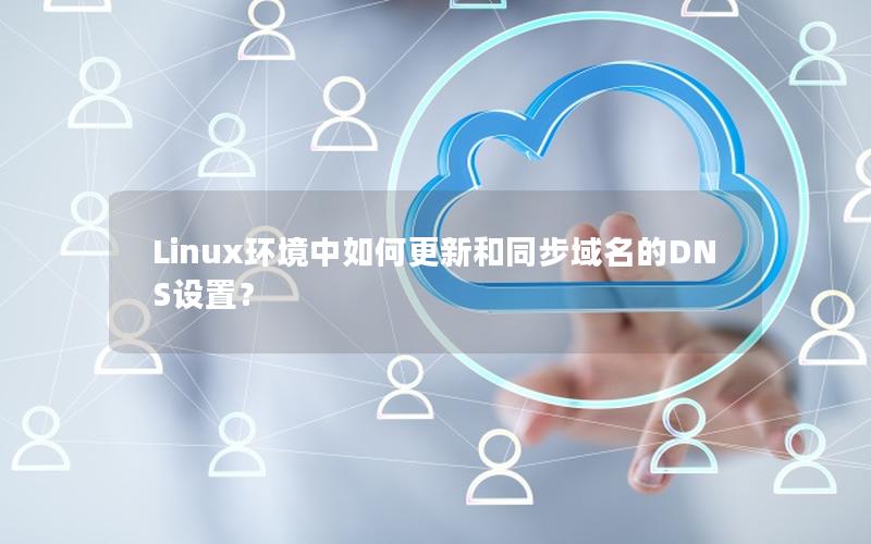 Linux环境中如何更新和同步域名的DNS设置？