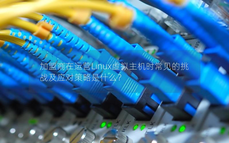 加盟商在运营Linux虚拟主机时常见的挑战及应对策略是什么？