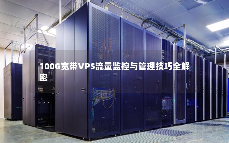 100G宽带VPS流量监控与管理技巧全解密