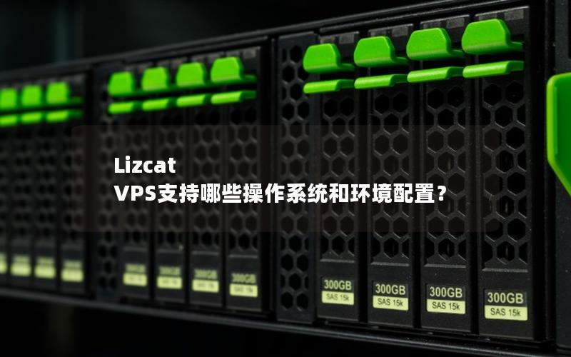 Lizcat VPS支持哪些操作系统和环境配置？