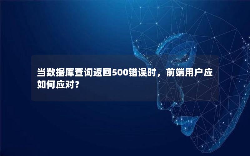 当数据库查询返回500错误时，前端用户应如何应对？