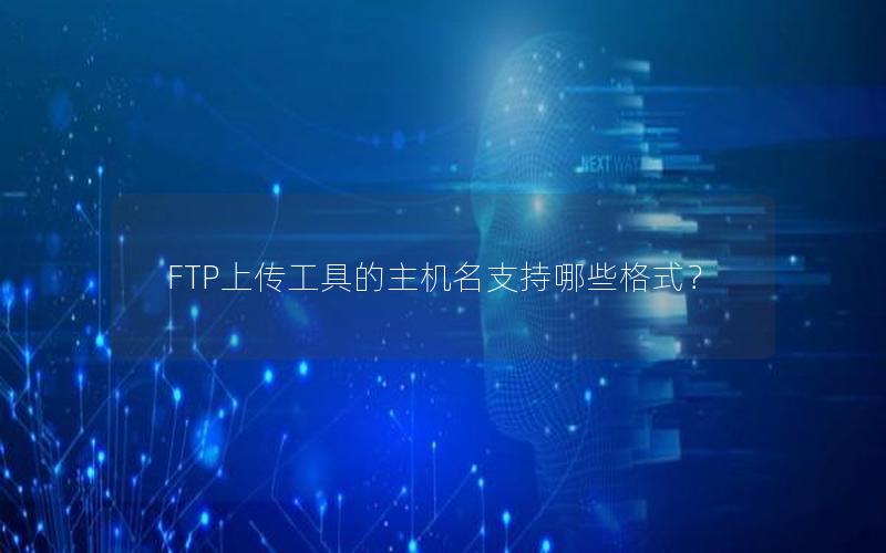 FTP上传工具的主机名支持哪些格式？