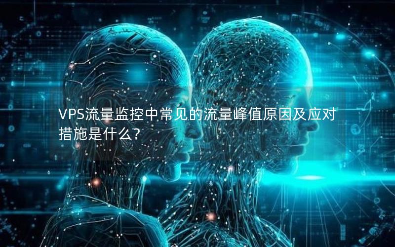 VPS流量监控中常见的流量峰值原因及应对措施是什么？