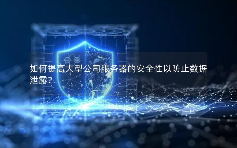 如何提高大型公司服务器的安全性以防止数据泄露？