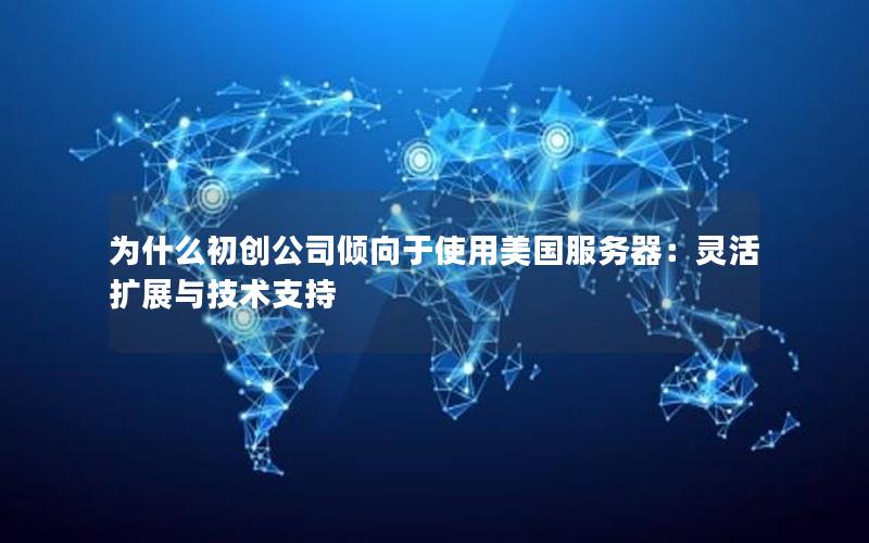 为什么初创公司倾向于使用美国服务器：灵活扩展与技术支持