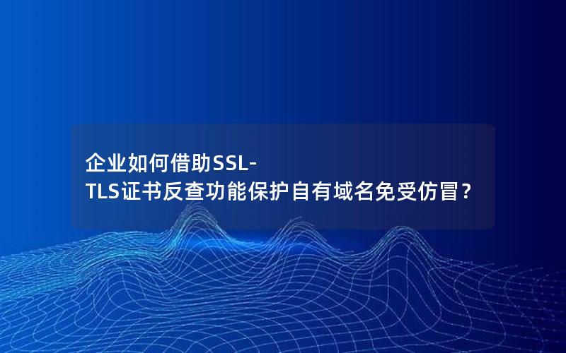 企业如何借助SSL-TLS证书反查功能保护自有域名免受仿冒？