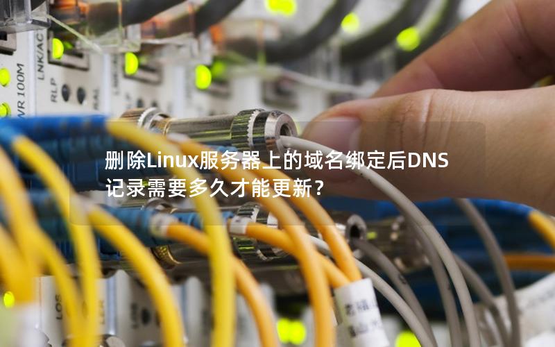 删除Linux服务器上的域名绑定后DNS记录需要多久才能更新？