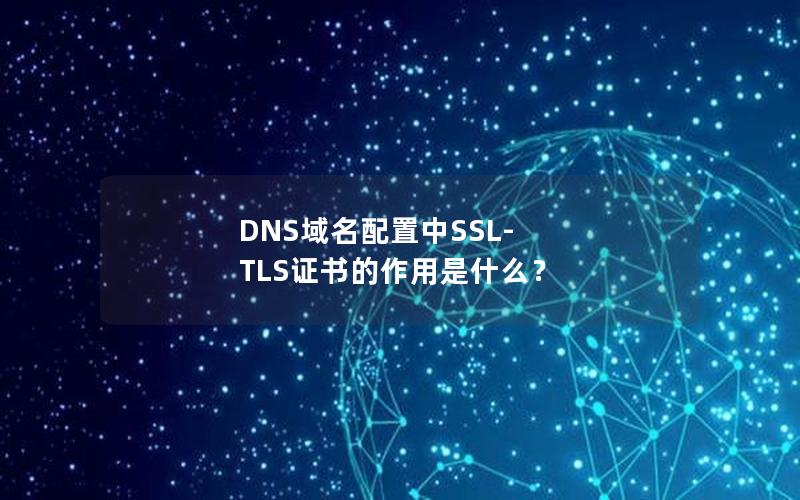 DNS域名配置中SSL-TLS证书的作用是什么？