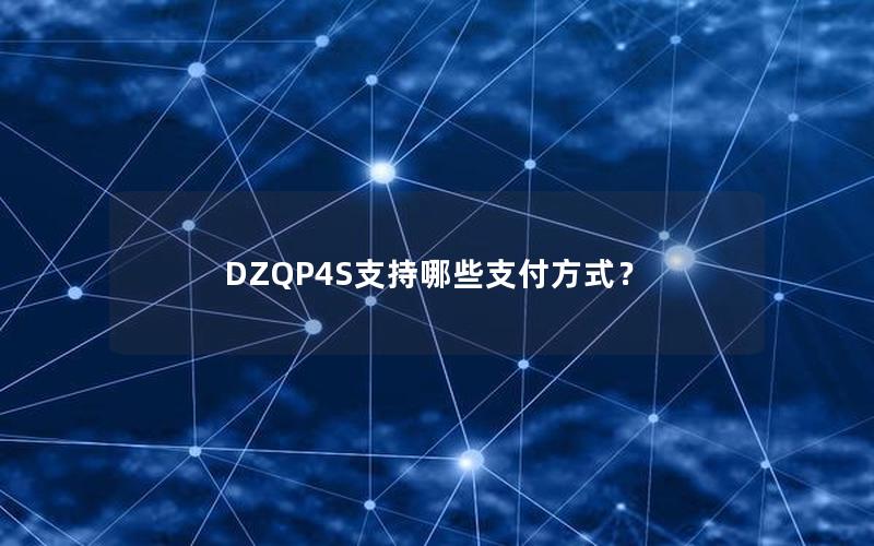 DZQP4S支持哪些支付方式？