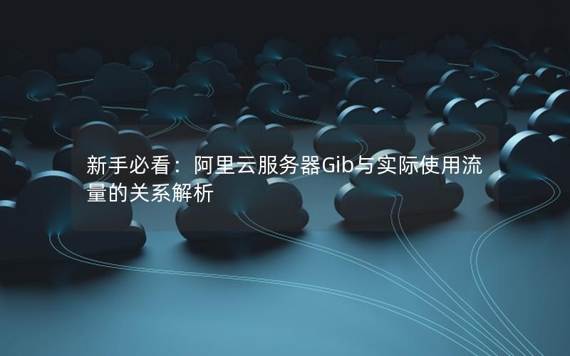 新手必看：阿里云服务器Gib与实际使用流量的关系解析