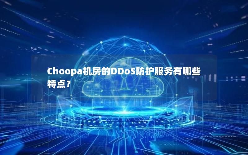 Choopa机房的DDoS防护服务有哪些特点？