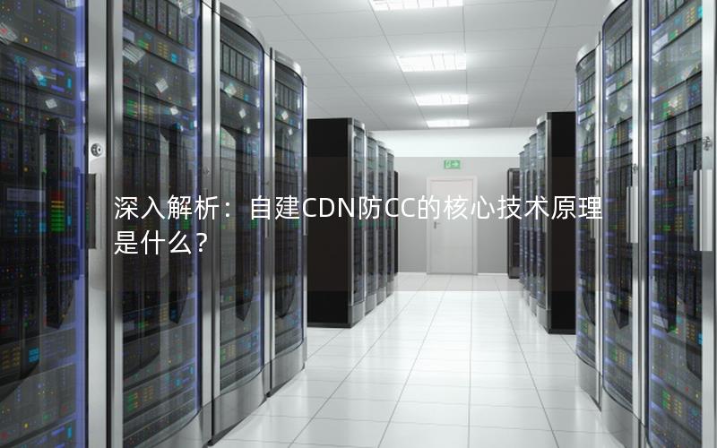 深入解析：自建CDN防CC的核心技术原理是什么？