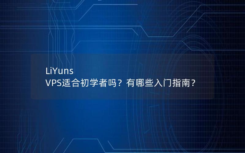 LiYuns VPS适合初学者吗？有哪些入门指南？