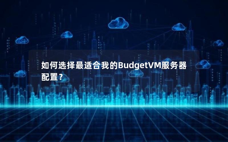 如何选择最适合我的BudgetVM服务器配置？