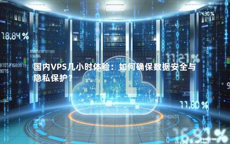 国内VPS几小时体验：如何确保数据安全与隐私保护？