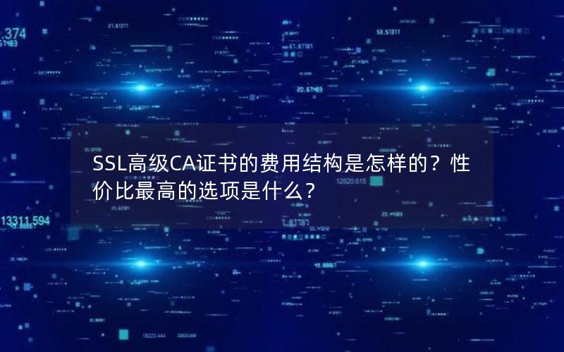 SSL高级CA证书的费用结构是怎样的？性价比最高的选项是什么？