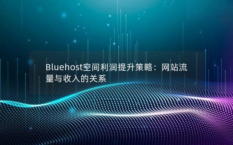 Bluehost空间利润提升策略：网站流量与收入的关系