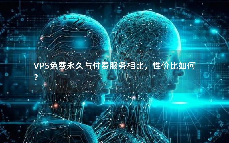 VPS免费永久与付费服务相比，性价比如何？