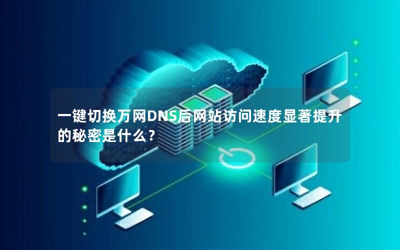 一键切换万网DNS后网站访问速度显著提升的秘密是什么？