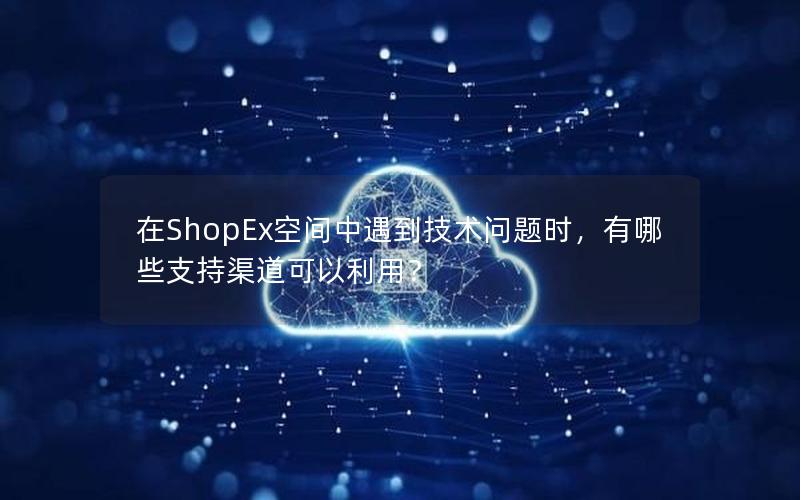 在ShopEx空间中遇到技术问题时，有哪些支持渠道可以利用？