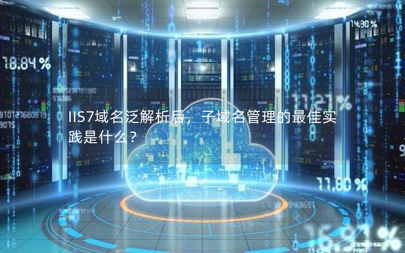 IIS7域名泛解析后，子域名管理的最佳实践是什么？