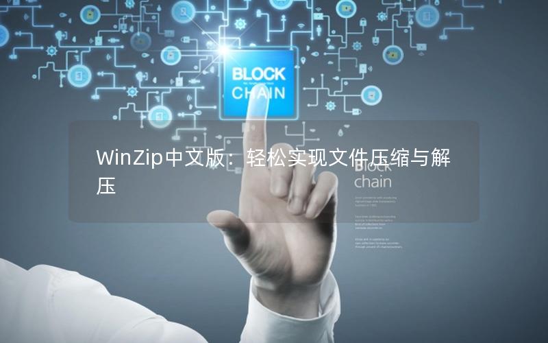 WinZip中文版：轻松实现文件压缩与解压