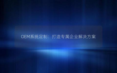 OEM系统定制：打造专属企业解决方案