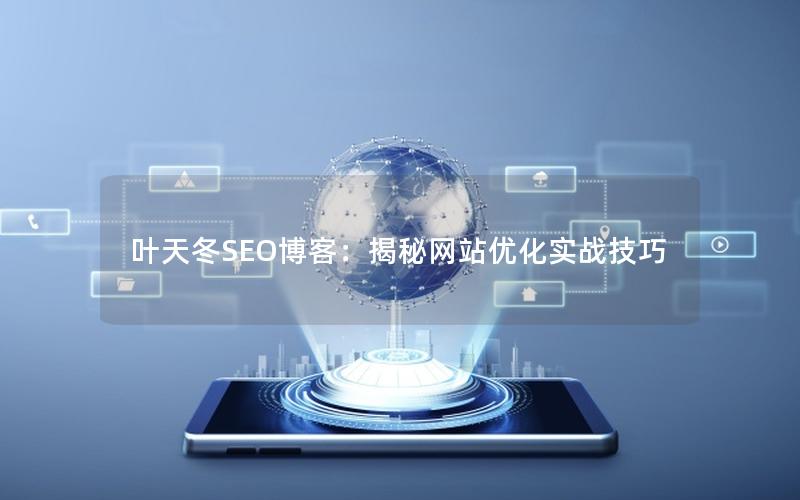 叶天冬SEO博客：揭秘网站优化实战技巧