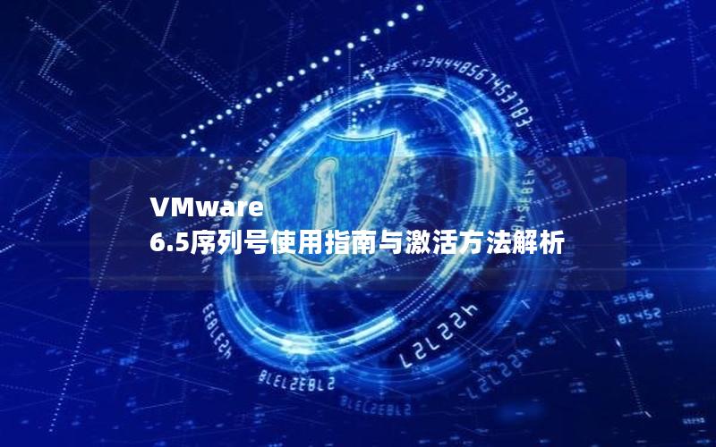 VMware 6.5序列号使用指南与激活方法解析