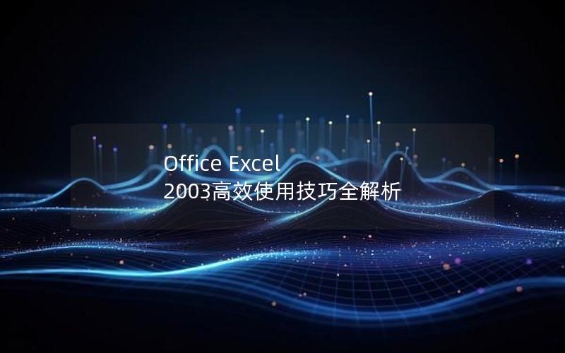 Office Excel 2003高效使用技巧全解析