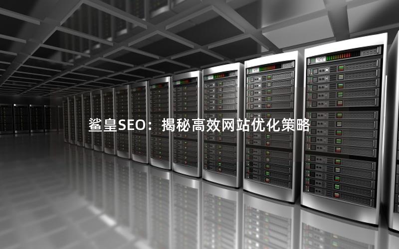 鲨皇SEO：揭秘高效网站优化策略