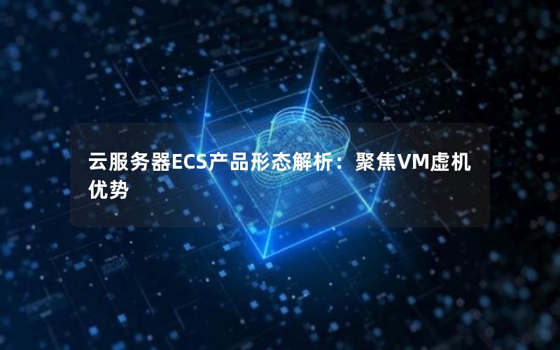 云服务器ECS产品形态解析：聚焦VM虚机优势