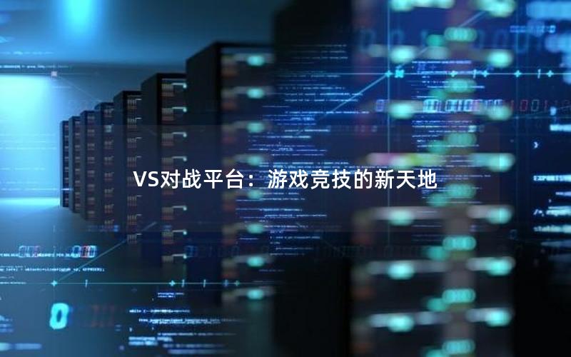 VS对战平台：游戏竞技的新天地