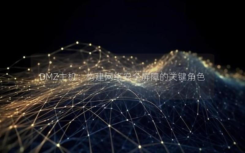 DMZ主机：构建网络安全屏障的关键角色