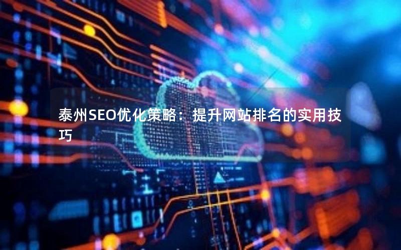 泰州SEO优化策略：提升网站排名的实用技巧